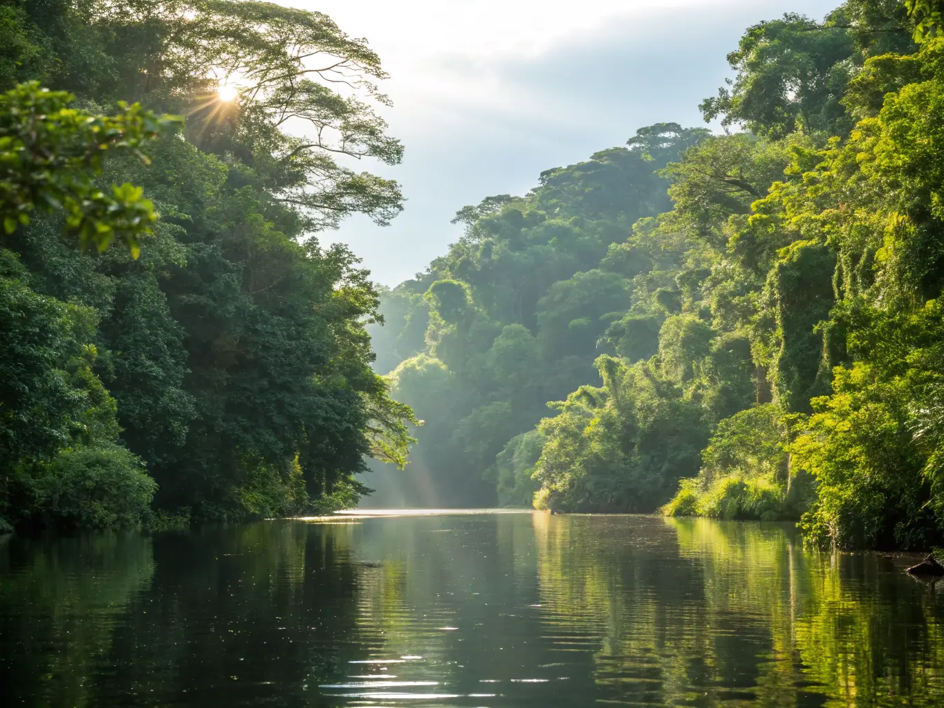 A vibrant image of the Amazon rainforest, showcasing lush greenery, exotic birds, and a winding river, representing the abundance and healing power of nature.